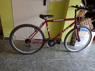 Bicicletas  montaña Vintage.
