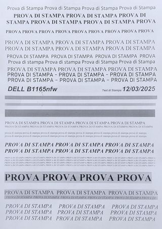 Stampante Dell B1165nfw Laser B&N