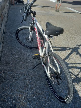 Bicicleta de montaña