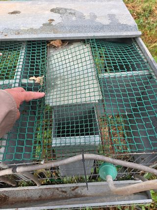 Jaulas codornices conejos