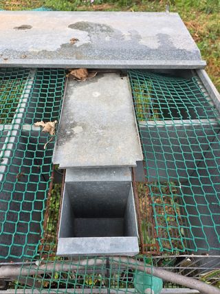 Jaulas codornices conejos