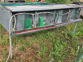 Jaulas codornices conejos