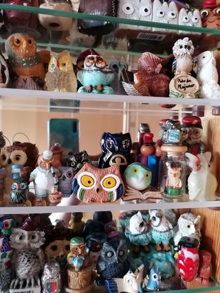 Colección figuras de búhos
