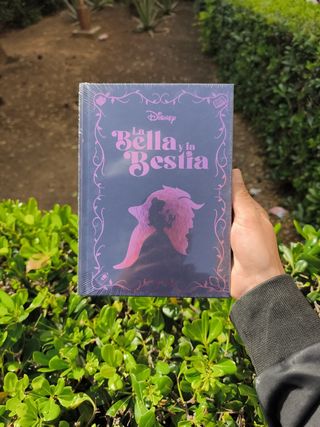 Libro de tapa dura colecion inolvidables disney 