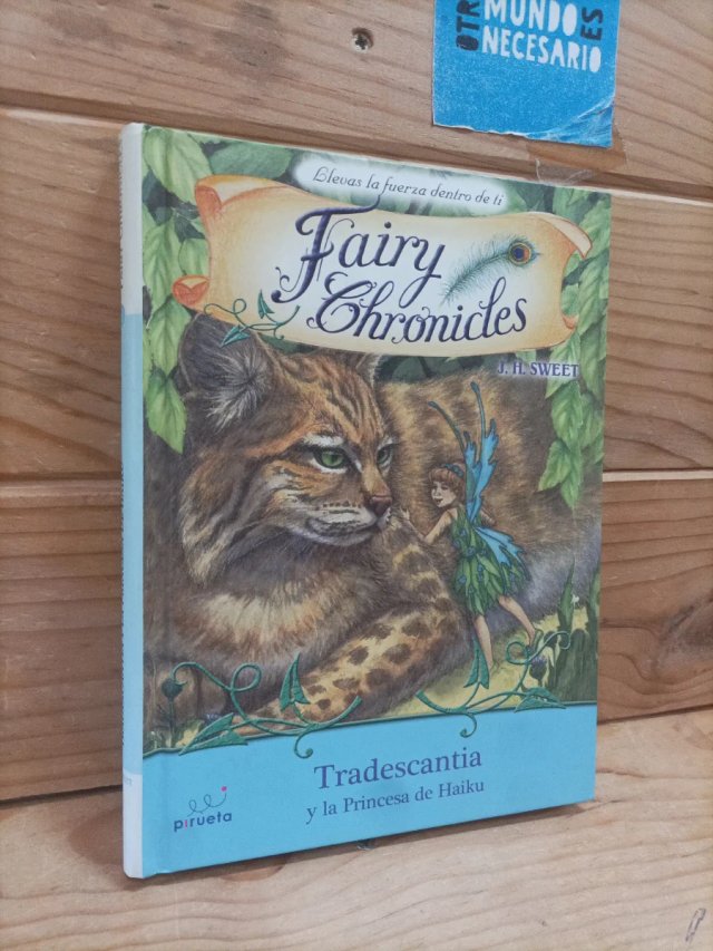 Lectura para niños de 9-10 años II