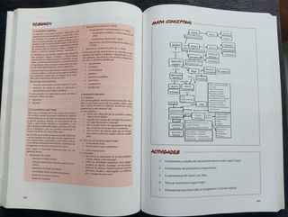 Libro Curso de Infantil Proyecto Mentor