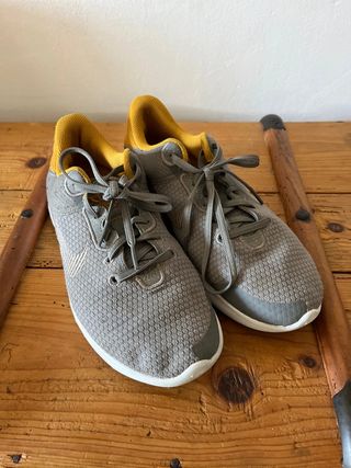 Nike flex 41