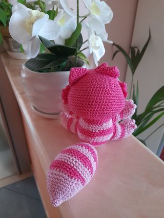 Il gatto matto di Alice