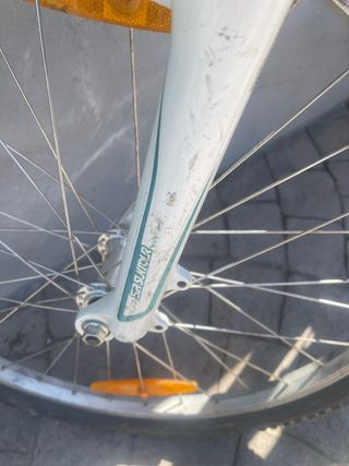 Bicicleta Specialized Rockhopper