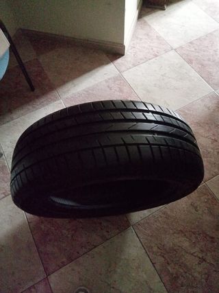 Petlas 4 unidades I / Verano