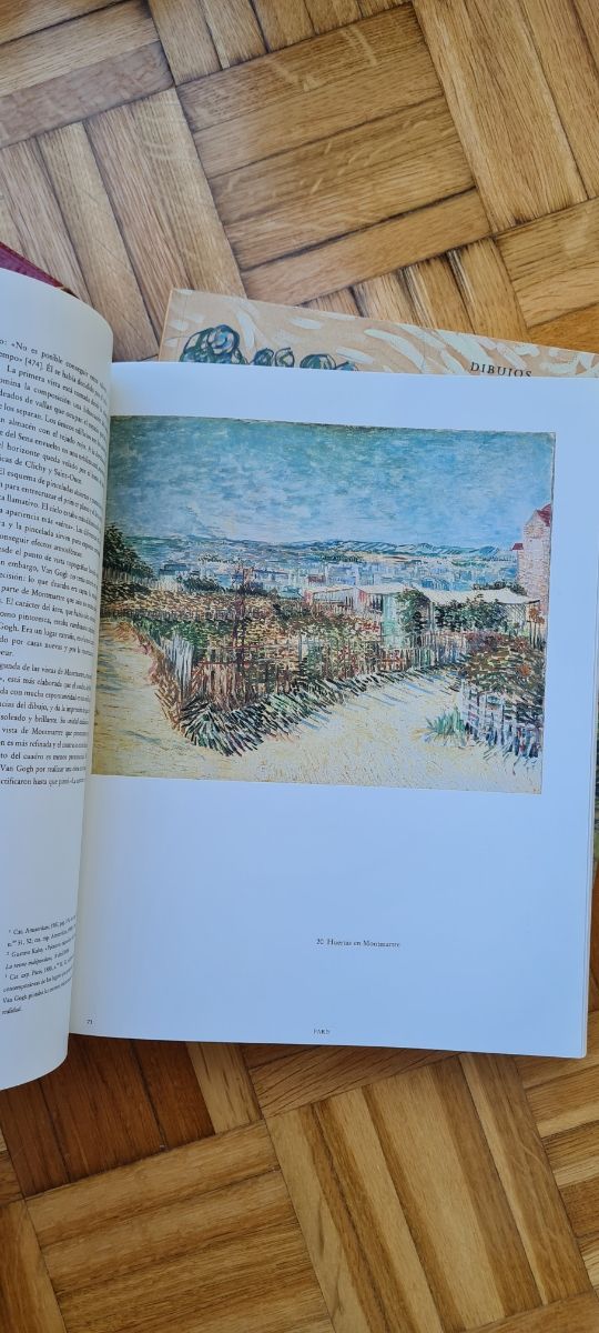 Vicent Van Gogh.
Catálogo Oficial Exposición 1990