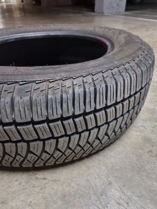 Neumáticos 4 estaciones+nieve 225/65 R17