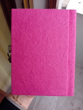 Diario segreto gattini innamorati