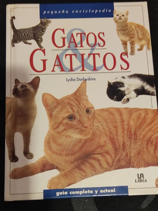 Gatos y gatitos / Cats and Kittens (Spanish Edi...