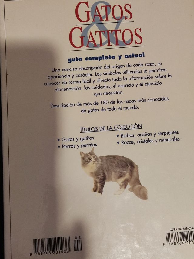 Gatos y gatitos / Cats and Kittens (Spanish Edi...