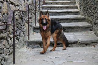 Sesión de fotografías tus fotos Al.instante