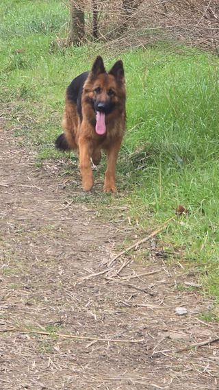 Sesión de fotografías tus fotos Al.instante