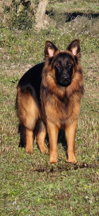 Sesión de fotografías tus fotos Al.instante