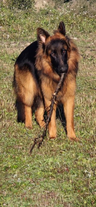 Sesión de fotografías tus fotos Al.instante