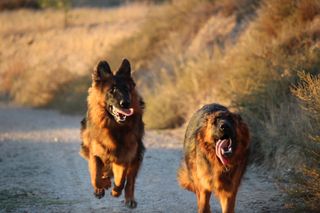 Sesión de fotografías tus fotos Al.instante