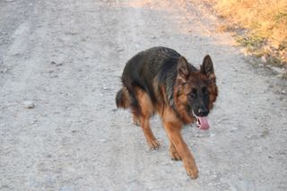 Sesión de fotografías tus fotos Al.instante