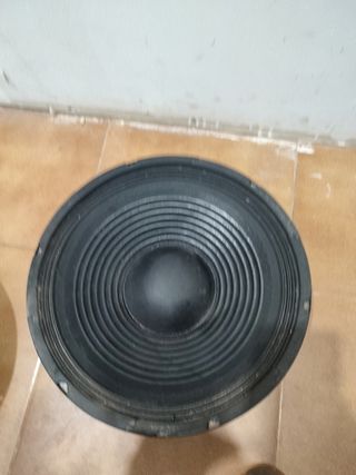 Altavoces 12" BHM & Gemini
