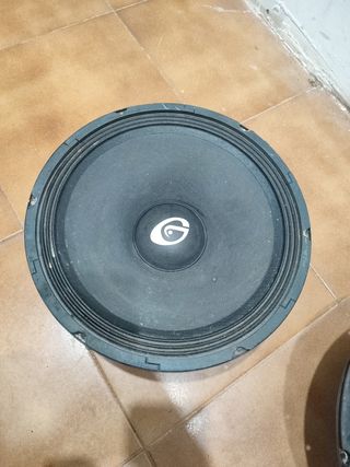 Altavoces 12" BHM & Gemini