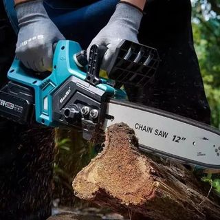 Motosega Elettrica con 2Batteria Potatura Giardino