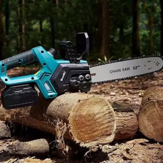 Motosega Elettrica con 2Batteria Potatura Giardino