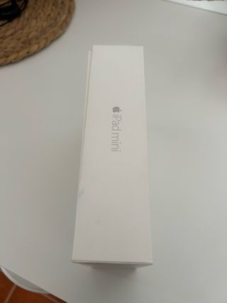 iPad mini silver