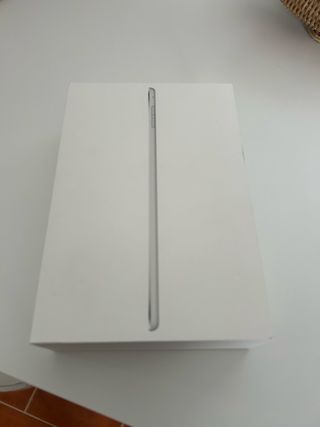 iPad mini silver