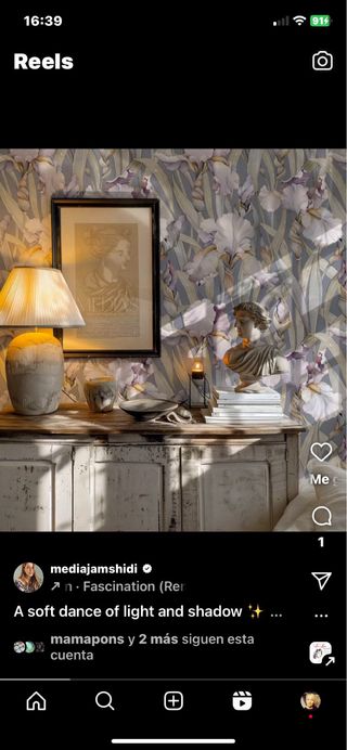 Kit de jarrones restaurados