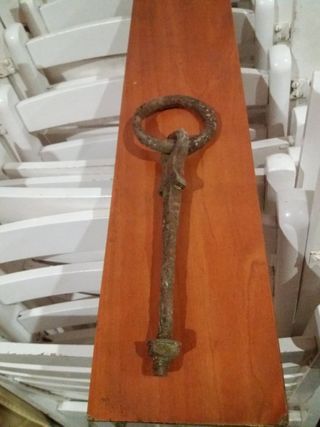 Argolla antigua de caballo