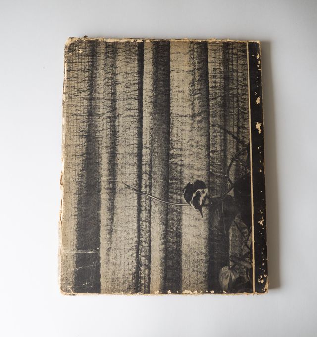 Revista AD / The Architectural Digest (1951)