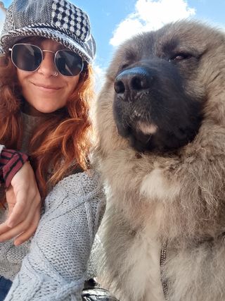 Cuido y paseo perros / Guardería canina