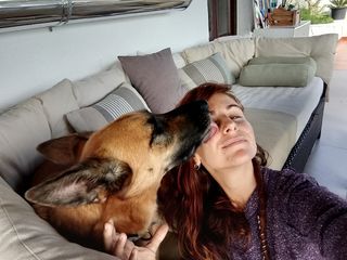 Cuido y paseo perros / Guardería canina