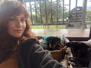 Cuido y paseo perros / Guardería canina