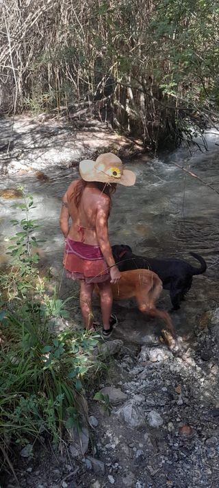 Cuido y paseo perros / Guardería canina