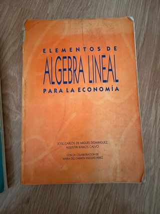 Libro elementos de algebra lineal para la economia