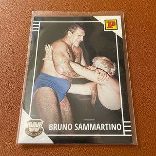 Cromo Bruno Sammartino WWE
