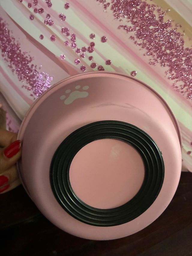 Plato para tu mascota