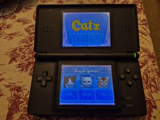 Nintendo Ds lite