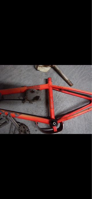 Monty t 219 roja flourescente 88