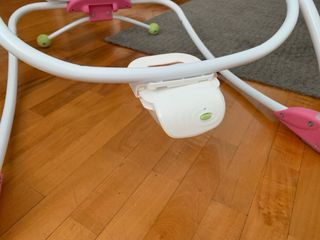 Hamaca Bright Starts Raspberry Garden