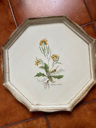 Vassoio legno vintage Diplotaris muralis
