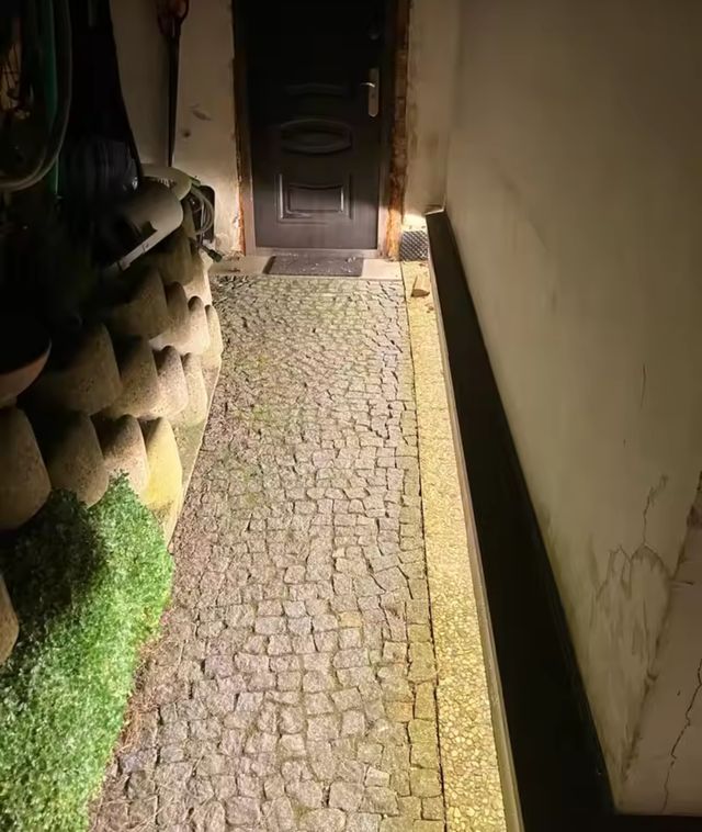 LUZ NATURAL LED FLEXIBLE CON ENCHUFE INTERRUPTOR