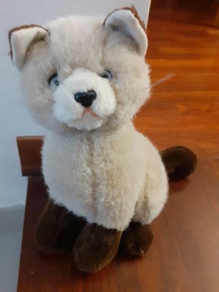 Peluche  gatto siamese