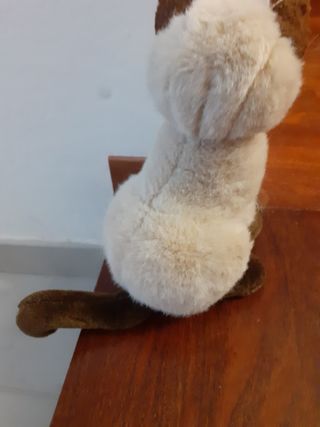 Peluche  gatto siamese