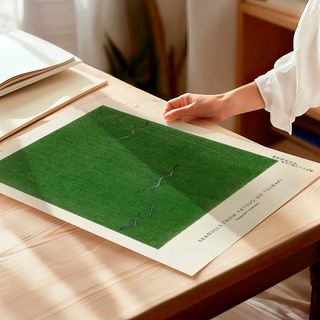 POSTER VINTAGE GAVIOTAS EN VUELO DE TOMOKI