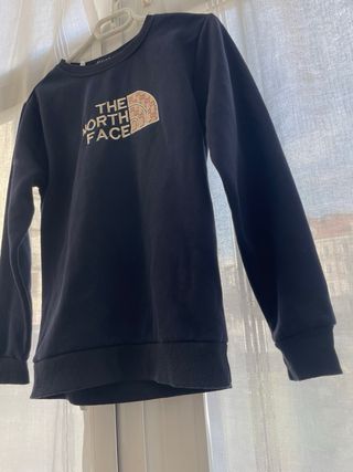 Sudadera Gucci x North Face. 